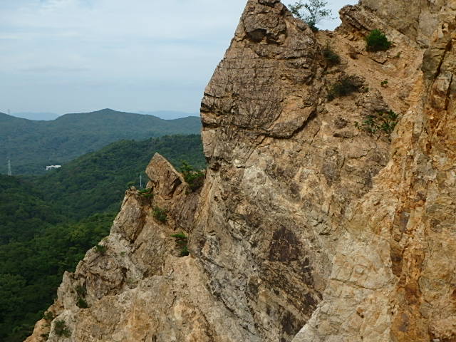 f0334143_802185.jpg