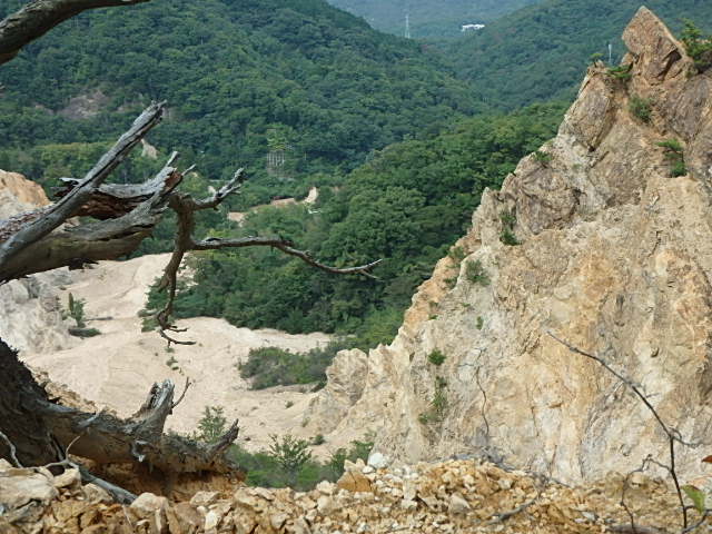 f0334143_803928.jpg
