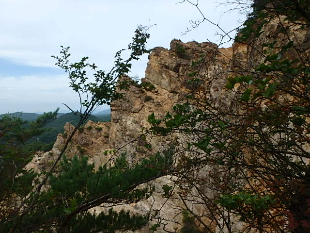 f0334143_805269.jpg
