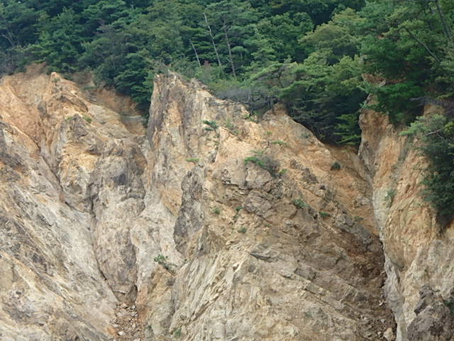f0334143_854050.jpg