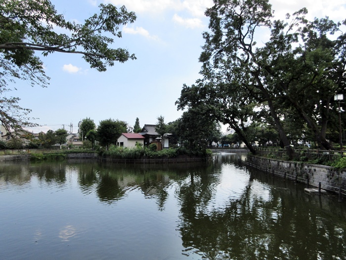b0009849_1652655.jpg