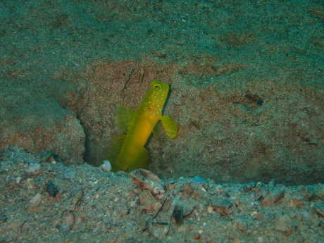 e0341449_13065908.jpg