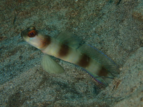 e0341449_13280469.jpg