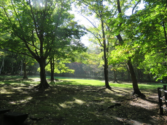 b0366555_09595990.jpg