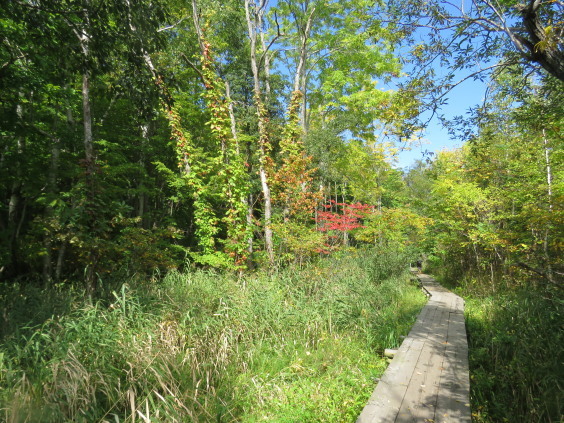 b0366555_10040604.jpg