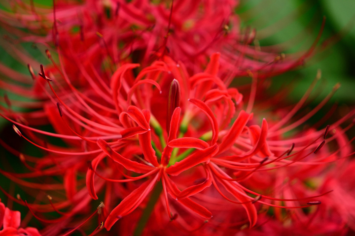f0108478_10234800.jpg
