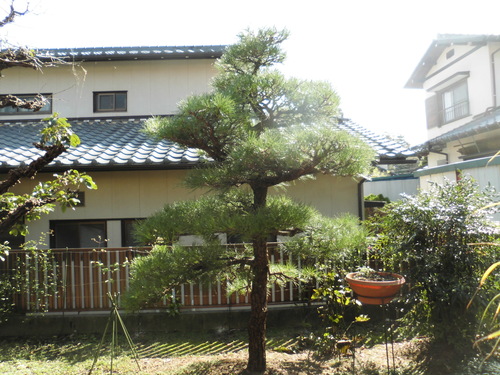 c0108198_17401614.jpg