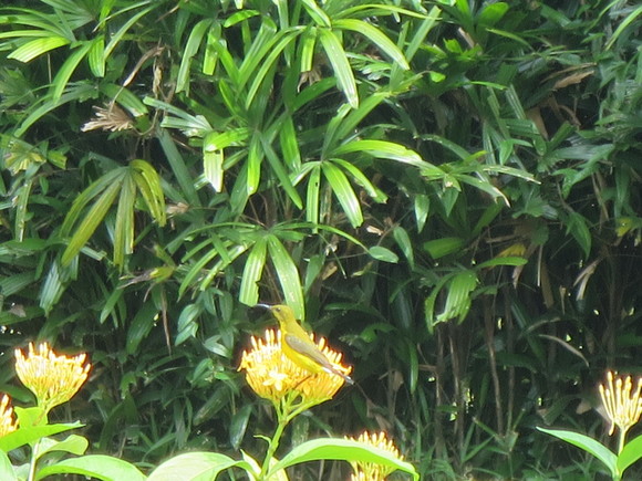 c0212604_2254095.jpg