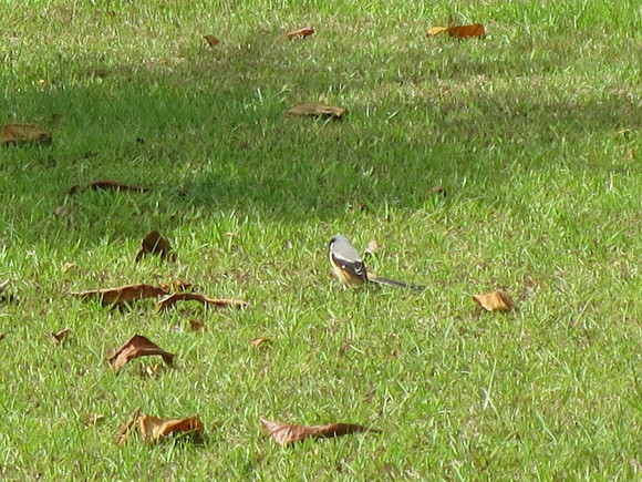c0212604_2281327.jpg
