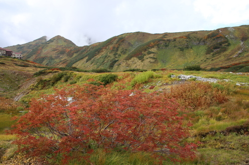 f0296109_06232908.jpg