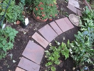f0325309_17125763.jpg