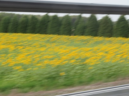 f0325309_17141214.jpg