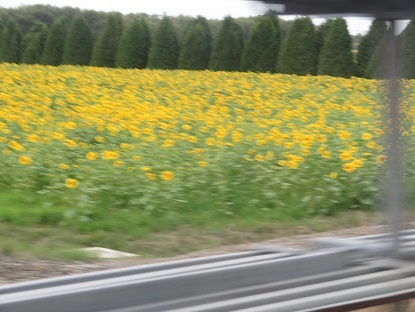 f0325309_17142207.jpg