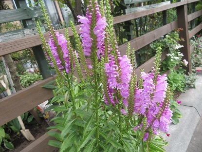 f0325309_17151162.jpg