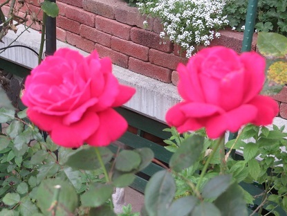 f0325309_17153593.jpg