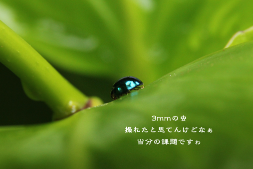 d0042827_19140972.jpg