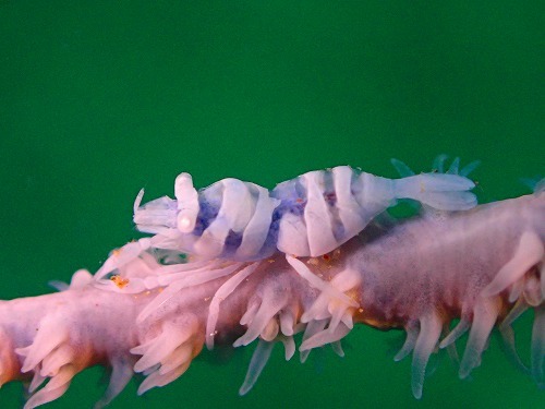 e0341449_18360587.jpg