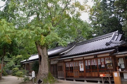 c0229483_93750100.jpg