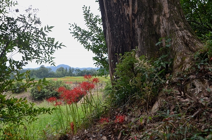 c0229483_9431170.jpg