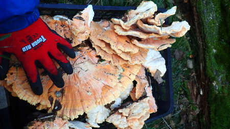 e0120896_06260950.jpg