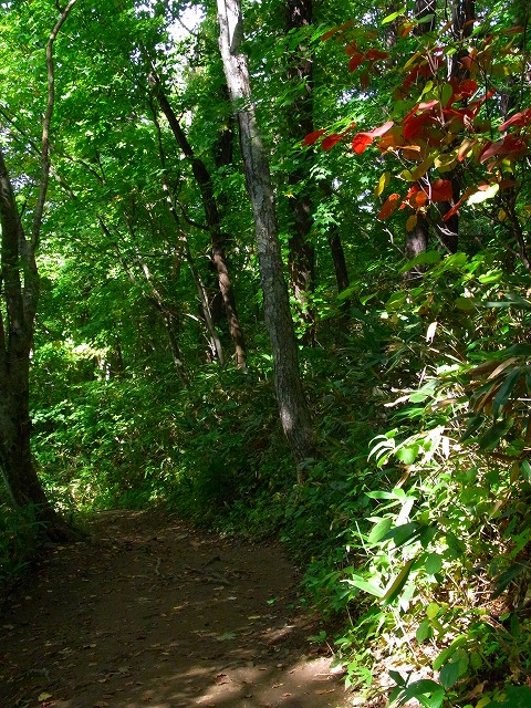 f0157901_1702871.jpg