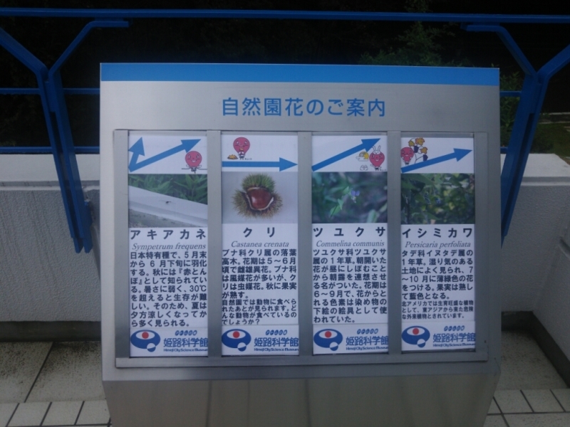 f0191517_13141172.jpg