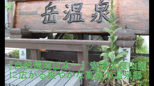 b0003445_18112571.jpg