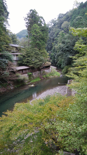 e0001558_10543320.gif