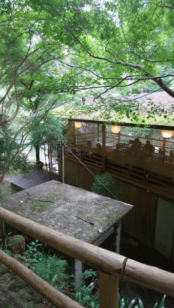 e0001558_10551147.gif