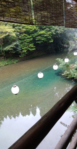e0001558_10554422.gif