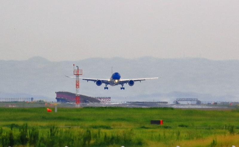 a0150260_00045339.jpg