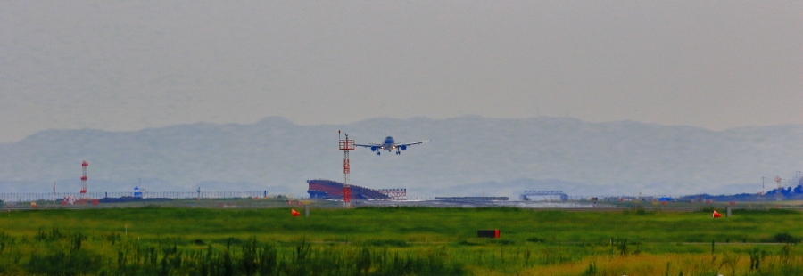 a0150260_08381072.jpg
