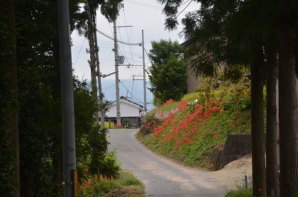 c0229483_1316429.jpg