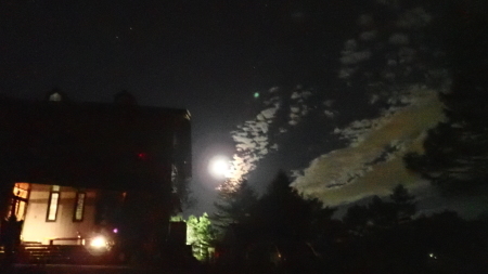 e0120896_21510378.jpg