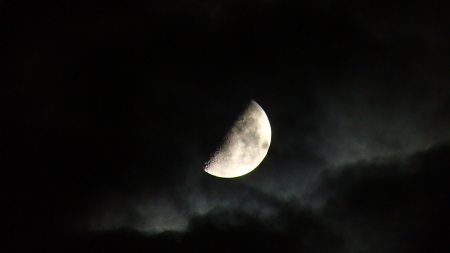 e0120896_21521780.jpg