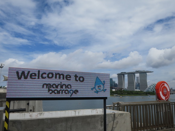 c0212604_533245.jpg