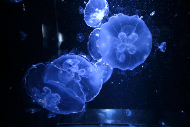 a0357206_20405416.jpg