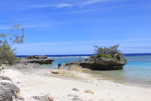 c0011649_06293173.jpg