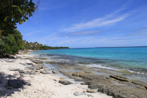 c0011649_06482192.jpg