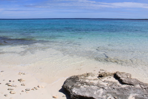 c0011649_06511399.jpg