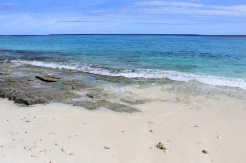 c0011649_06514024.jpg