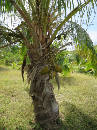 c0011649_07014700.jpg