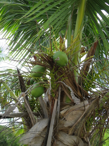 c0011649_07022883.jpg