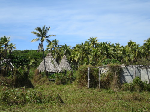 c0011649_07025458.jpg
