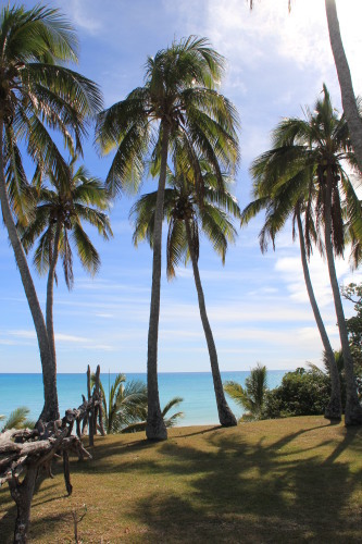 c0011649_07152454.jpg