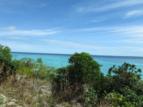 c0011649_07225577.jpg