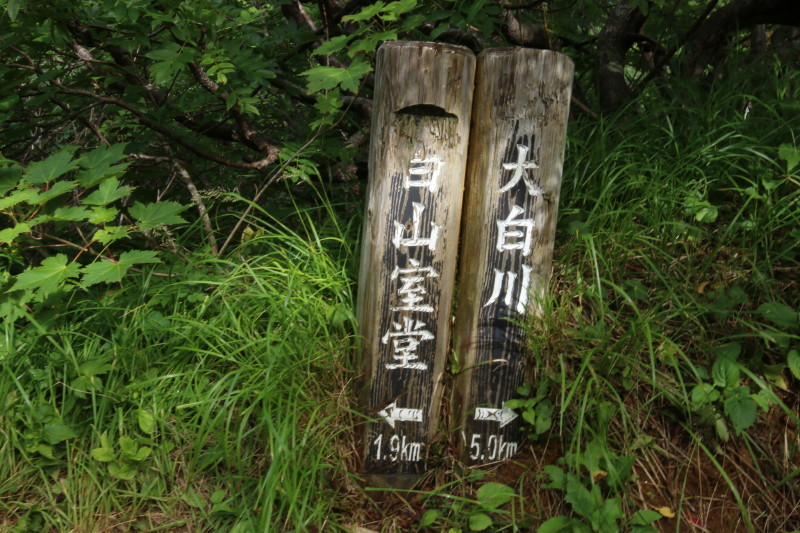 c0074553_22452003.jpg