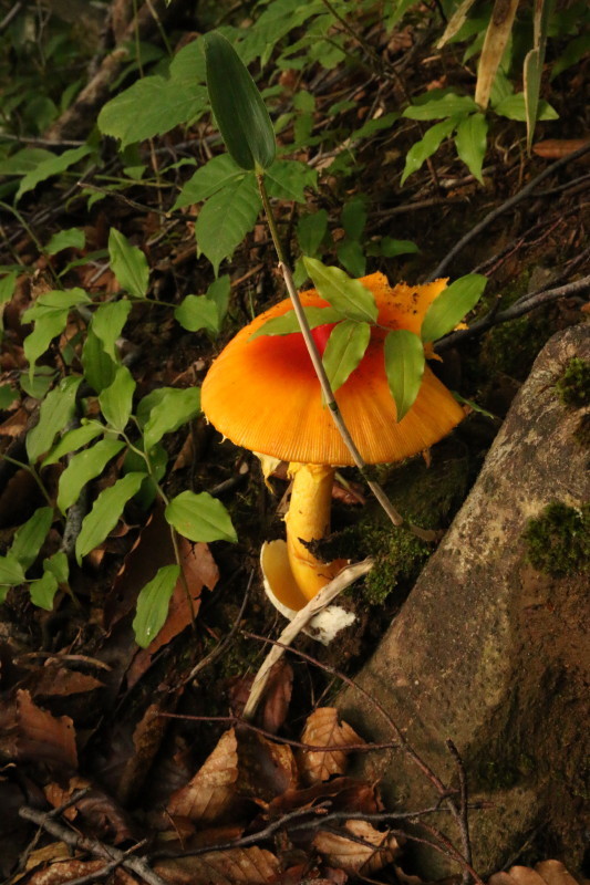 c0074553_22452060.jpg