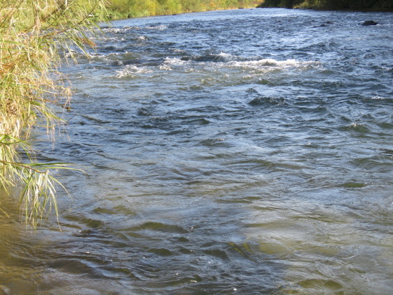 b0366555_11411905.jpg