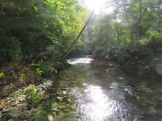b0366555_11434350.jpg